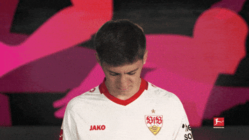 Look Up Vfb Stuttgart GIF by Bundesliga