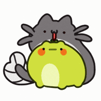 PondHQ cat cats silly frog GIF
