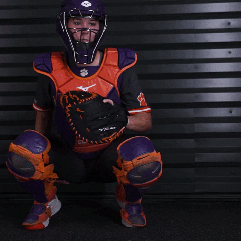 Clemsonsoftball GIF by Clemson Tigers