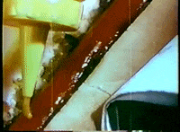scottok hot dog drive-in intermission snack bar GIF