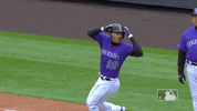 regular season baseball GIF by MLB