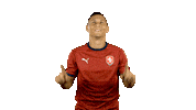 Up Up Ceskarepre Sticker by 2score