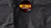 NOTshaxa notshaxa not shaxa notshaxasila not shaxa sila GIF