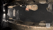 Air Force College GIF by Norwich University