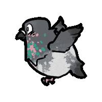 Pigeon Teodoro Sticker