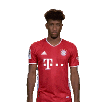 Fc Bayern Yes Sticker by Bundesliga