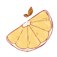 Orange Fruit Sticker by illustache