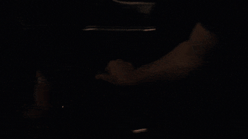 Nathalie Kelley Celebrity GIF by ABC Network