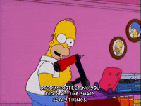 homer simpson GIF