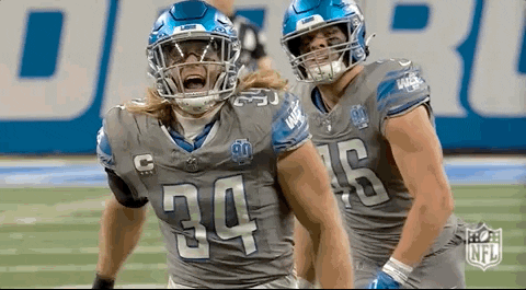 National Football League GIF by NFL