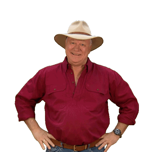 Renovate Channel 9 Sticker by The Block