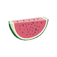 WatermelonCatering watermelon watermelon catering watermeloncatering watermelon aberdeen Sticker