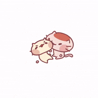 flanthefeline cat flan buttercream rub my belly GIF
