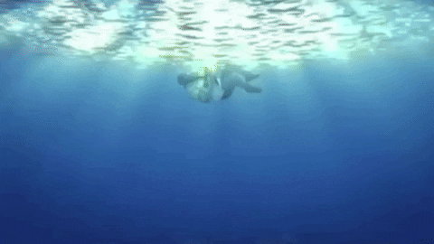 Drowning Los Angeles GIF by creating music forever