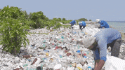 Earth Day GIF by 4ocean