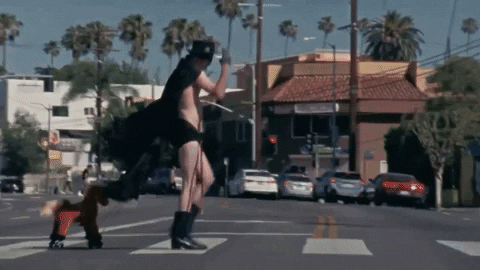 Horse Crossing GIF by PIXIES