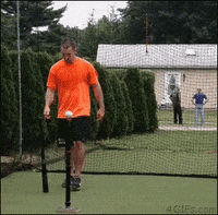 baseball bat GIF