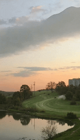 Bg Veo GIF by Aleksey Efremov