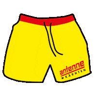 antennekaernten summer sommer kärnten antenne Sticker