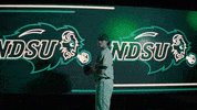 Ndsu Baseball GIF by NDSU Athletics