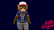 Little League Baseball GIF by Little League International