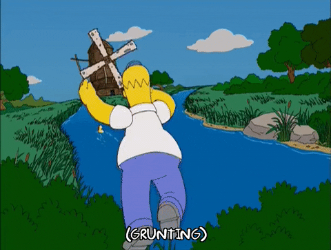 homer simpson GIF