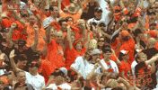 bal GIF by MLB