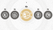 Goal Achieve GIF by Antsy Labs
