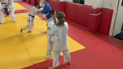 derricklin sasae or hiza GIF