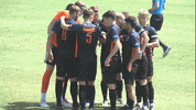 Cnms19 GIF by Carson-Newman Athletics