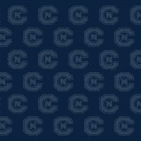 Cnms19 GIF by Carson-Newman Athletics