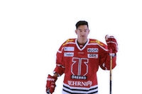 Shane Harper Goal Sticker by Örebro Hockey