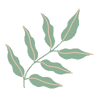 Leaf Leaves Sticker