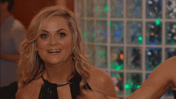 Amy Poehler Movie GIF by Sisters