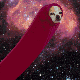 space doge GIF