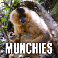 Hungry Mary Jane GIF by Sealed With A GIF