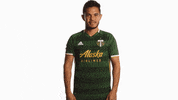 Portland Timbers GIF by Timbers
