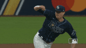 Tampa Bay Rays Baseball GIF by MLB
