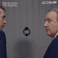 Lets Go What GIF by Acorn TV
