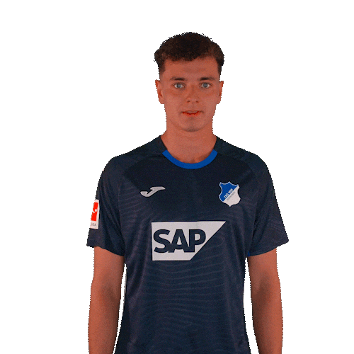 Sport Bundesliga Sticker by TSG Hoffenheim