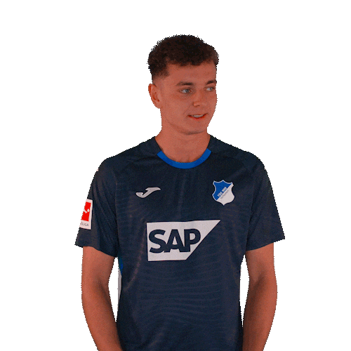 Sport Bundesliga Sticker by TSG Hoffenheim
