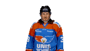 unisflyers goal 3 eagles flyers Sticker