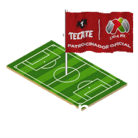 Futbol Bandera Sticker by Cerveza Tecate