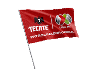 Futbol Bandera Sticker by Cerveza Tecate