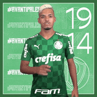 Soccer Futebol GIF by SE Palmeiras