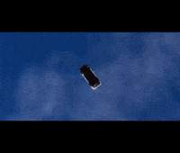 Golden Apple Snowman GIF