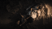 Horror Love GIF by NEON