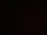 Fashion Shopping GIF by Drop Dead Couture