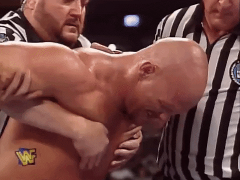 Stone Cold Wrestling GIF by WWE