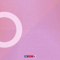 Goal Arsenal GIF by skysports